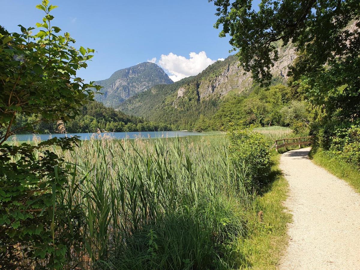 Ferienwohnung Fresdorf Bad Reichenhall Dış mekan fotoğraf